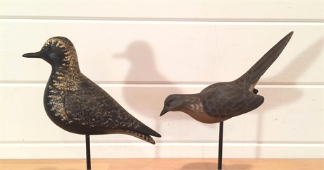 2 contemporary shorebirds.