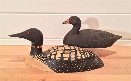 A coot and a 1/2 size loon, George Voyzey, Sharonville, Ohio.