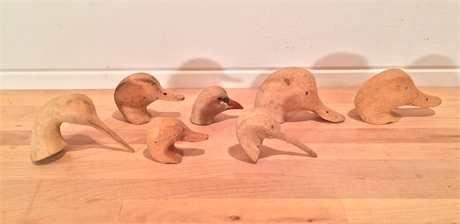 Lot of 7 unfinished decoy heads by the Ward Brothers.