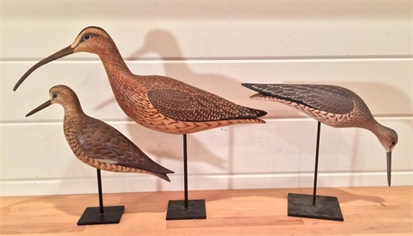 3 large shorebirds, Dave Rhodes, Absecon, New Jersey, circa 1990's.