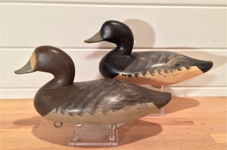 Early pair of bluebills, Charlie Joiner, Chestertown, Maryland, dated 1952.