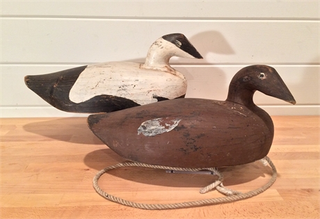 Rigmate pair of eiders from Maine or Nova Scotia, 2nd quarter 20th century.