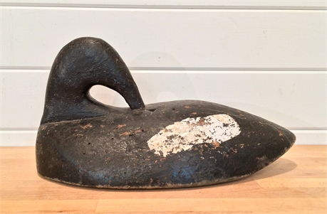 Large preening scoter from Maine, 2nd quarter 20th century.
