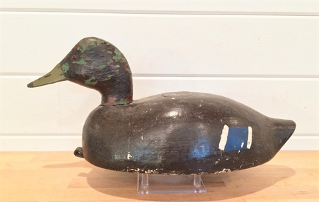 Hollow carved canvasback drake from the St. Clair Flats.
