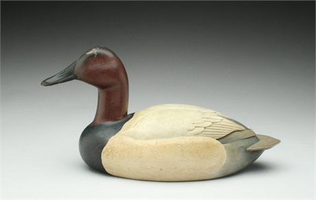 Hollow carved canvasback, Chris Holmes, Brockville, Ontario.