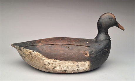 Early brant from Long Island, last quarter 19th century.