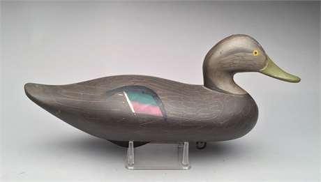 Black duck, Madison Mitchell, Havre de Grace, Maryland, dated 1973.