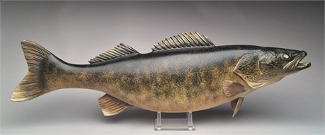 Large full body walleye, Mike Borrett, Madison, Wisconsin.