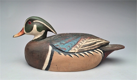 Wood duck drake, Ben Schmidt, Detroit, Michigan, circa 1950.