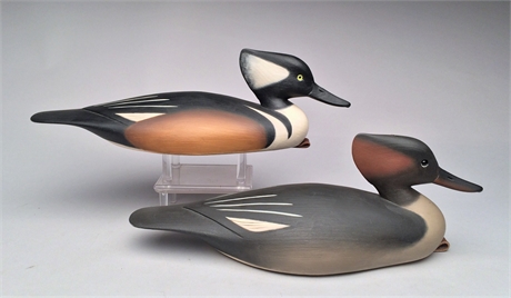 Pair of hollow carved hooded mergansers, Pete Peterson, Cape Charles, Virginia.