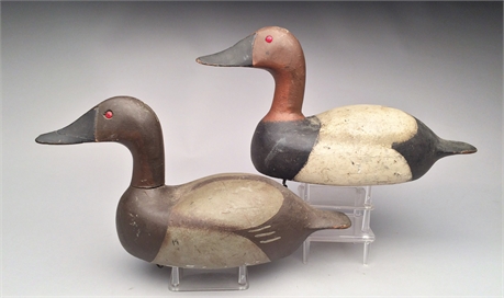 Rigmate pair of canvasbacks from Wisconsin, 2nd quarter 20th century.