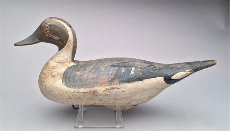 Pintail drake, Madison Mitchell, Havre de Grace, Maryland, dated 1952.