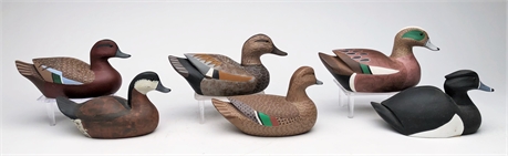 Group of six 1/4 size ducks, Adam Pape,