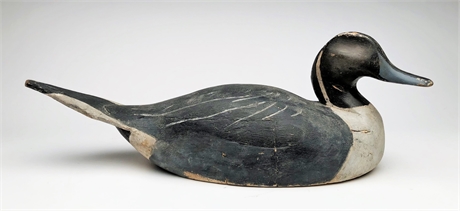 Pintail drake attributed to Guy Sterling, Crisfield, Maryland, circa 1920's.