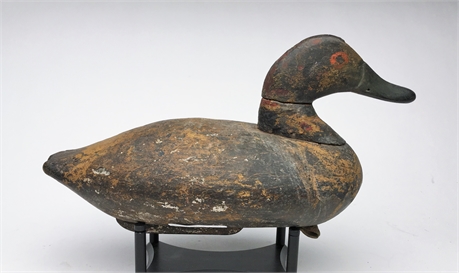 Black duck from Charlestown, Maryland, last quarter 19th century.