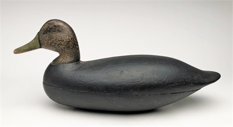 Hollow carved black duck, Harry M. Shourds, Tuckerton, New Jersey.