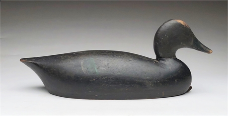 Oversize, hollow carved black duck from Michigan, 2nd quarter 20th century.