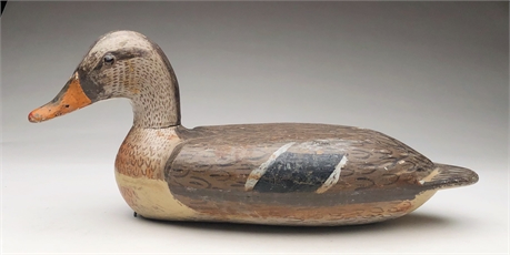 Hollow carved mallard hen from Illinois, 2nd quarter 20th century.