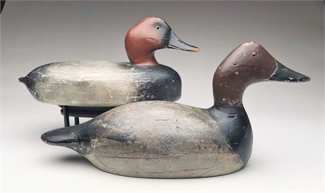 Canvasback by the Evans Decoy Factory and a canvasback from Michigan.