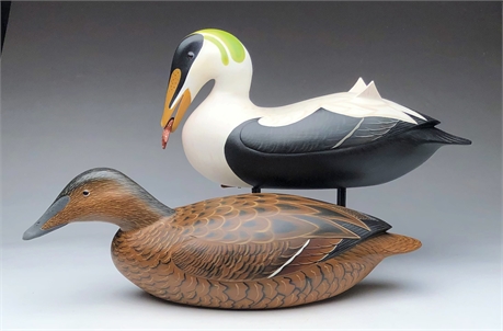 Pair of large eiders, Jode Hillman, Mullica Hill, New Jersey, dated 2014.
