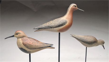 Group of three shorebirds, William Gibian, Onancock, Virginia.