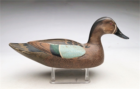 Blue wing teal in the style of Jim Mossmeier, New Orleans, Louisiana.