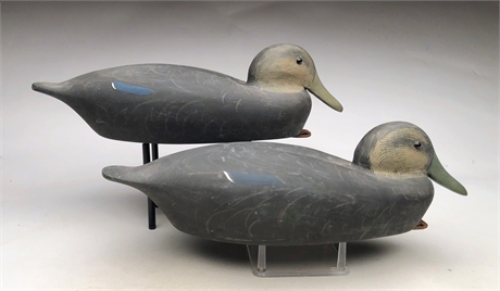 Pair of black ducks, Chet Reneson, Old Lyme, Connecticut.