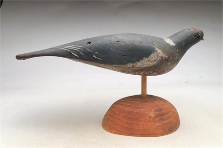 English wood pigeon, UK, 2nd quarter 20th century.