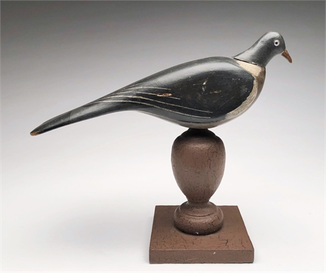 English wood pigeon, Francis Rolph, Lakenheath, Suffolk, United Kindom.