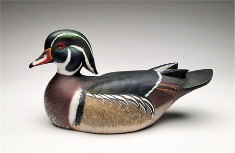 Wood duck, Tommy Rogers, Snow Hill, North Carolina.