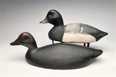 Black duck and bluebill, Harold Wilkins, Owen Sound, Ontario, 2nd quarter 20th c