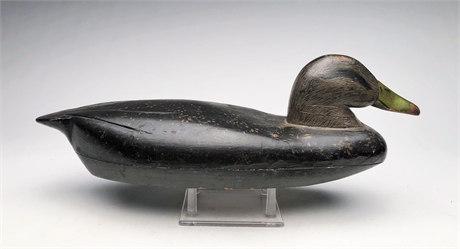 Hollow carved black duck, Swan Brewster, Stratford, Connecticut, circa 1920’s.