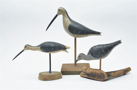 Three shorebirds, Samuel Stevens, Salisbury, Massachusetts.