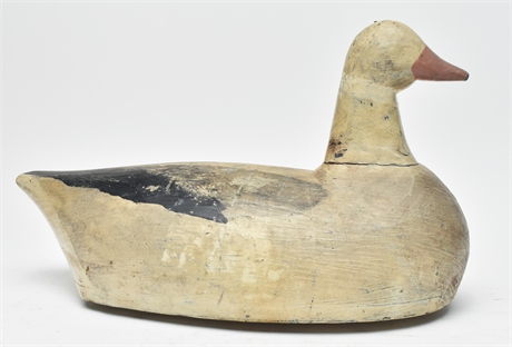 Hollow carved snow goose from British Columbia.