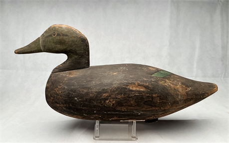 Oversize black duck attributed to Charles White, Long Island, 1st quarter 20th c